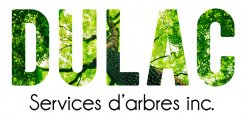 Dulac Services d’Arbres inc. Dulac Services d’Arbres inc.