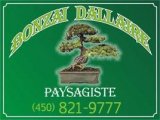 Bonzai Dallaire Paysagiste Bonzai Dallaire Paysagiste
