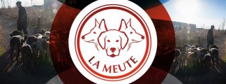 La Meute, service de promenade et pension canine