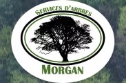 Services d'arbres Morgan Émondage