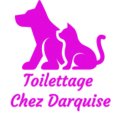 Chez Darquise Salon de Beauté Canin Chez Darquise Salon de Beauté Canin