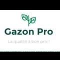 Gazon Pro Sherbooke II
