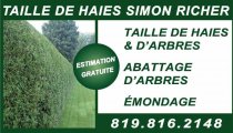 Taille de haies Simon Richer