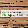 Extermination Pro Laurentides Extermination Pro Laurentides