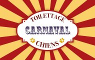 Carnaval Toilettage