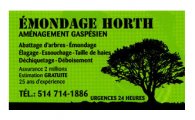 Aménagement Gaspésien-Émondage Horth