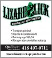 Remorquage Lizard Lick