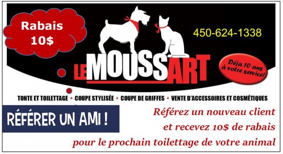 promotion : Le Moussart Salon de Toilettage