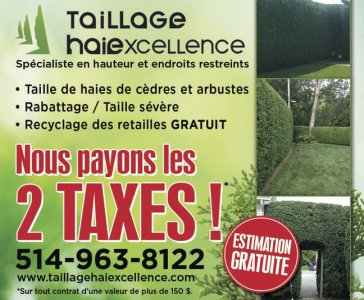 promotion : Taillage Haiexcellence