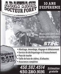 promotion : Abattage Docteur Forêt Enr