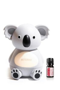 promotion : Solutions huiles essentielles