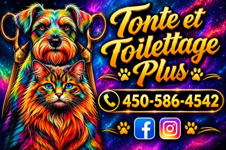 promotion : Tonte et Toilettage Plus